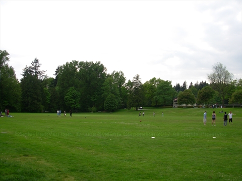 Ultimate Frisbee in Stanley Park, Vancouver, BC, Canada