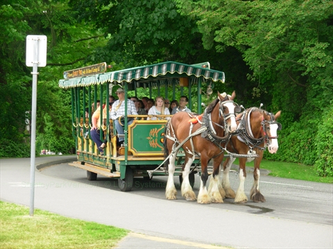 Horse-drawn Tour of Stanley Park, Vancouver, British Columbia Canada