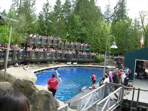 Vancouver Aquarium dolphin show