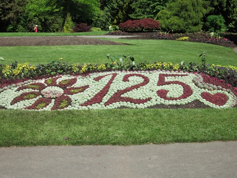 Stanley Park Pavilion flowers in Stanley Park, Vancouver, BC, Canada